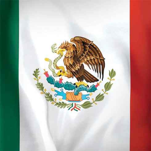 Mexico Flag Notebook 9 Pro 13in (2017) Skin